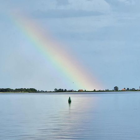 Welkom In Mijn Studio Bij Het Snekermeer ! Offingawier Exterior foto